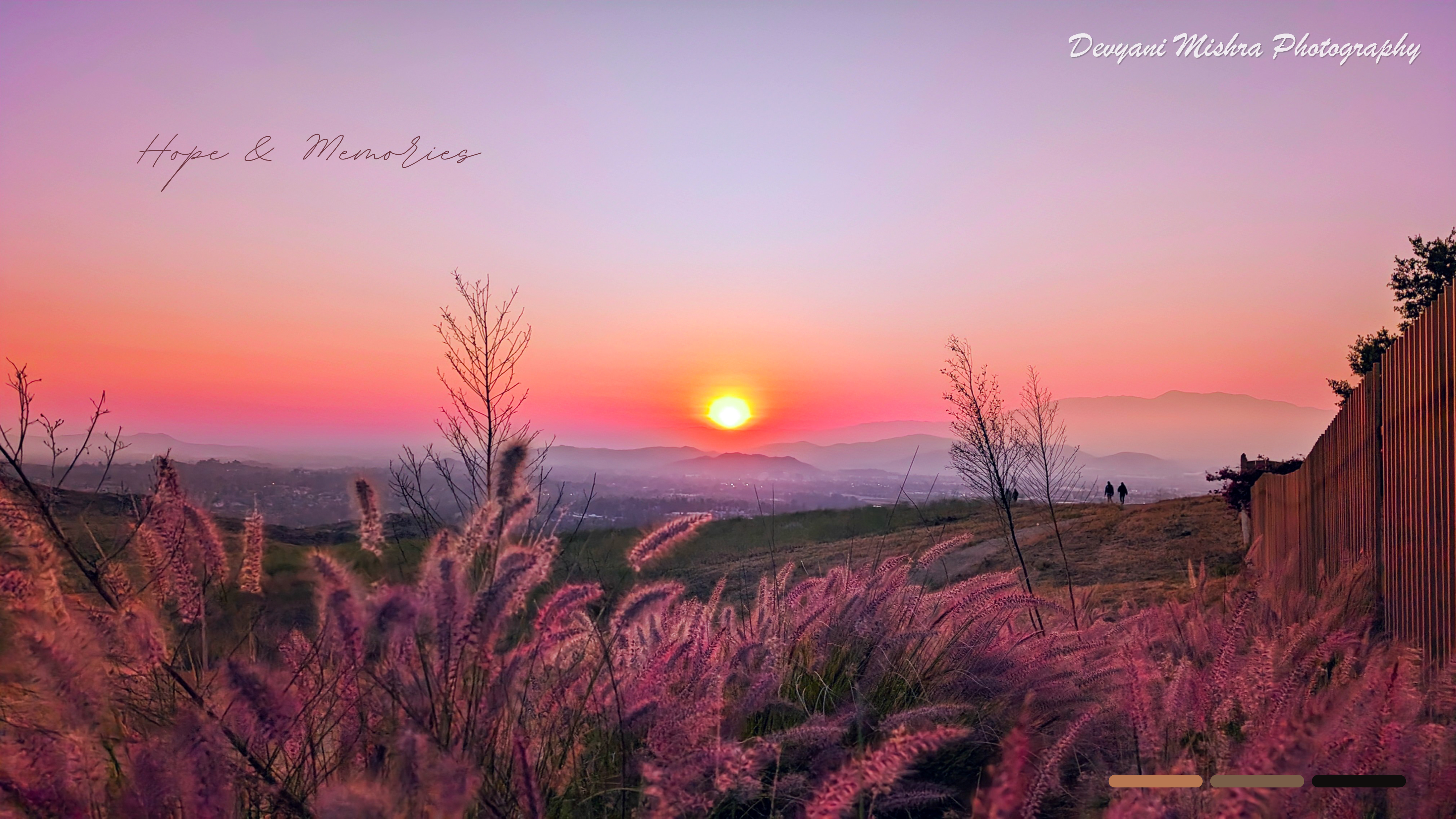 Sunset over rolling hills with purple fountain grass and two distant figures walking